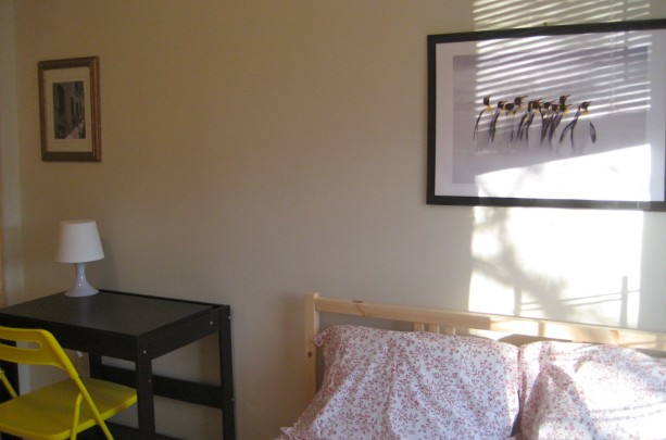 Beautiful 4 bedroom furnished for student in Brooklyn