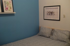 Great student room in apt